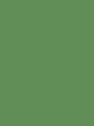 940 FROSTED MATT NO.40 2500 m  7770